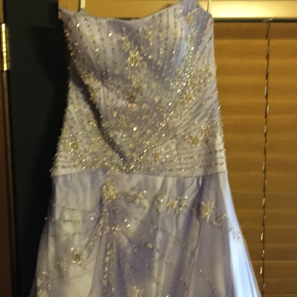 Dress Pageant/Formal - Picture 2 of 4